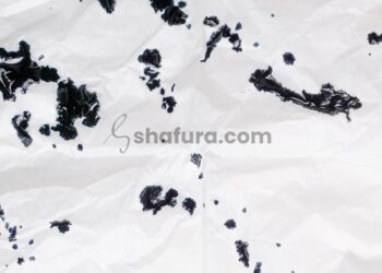 Membongkar Bid’ah dan Menjaga Aqidah: Syarah Aqidah Salaf