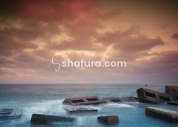 Membongkar Bid’ah dan Menjaga Aqidah: Syarah Aqidah Salaf