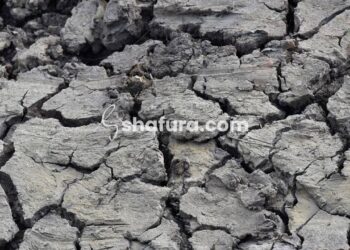 Membongkar Bid’ah dan Menjaga Aqidah: Syarah Aqidah Salaf