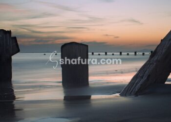 Mengapa Menghilangkan Kebiasaan Upload Foto Diri Sulit Dilakukan?