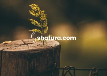 2025 Tanpa Instagram: Saatnya Fokus pada Hal Penting